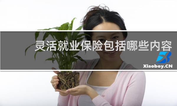 灵活就业保险包括哪些内容
