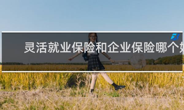 灵活就业保险和企业保险哪个好