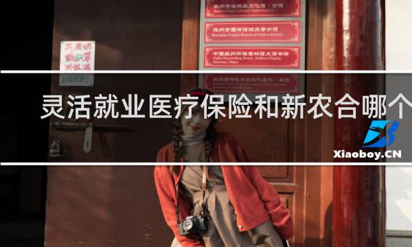 灵活就业医疗保险和新农合哪个好