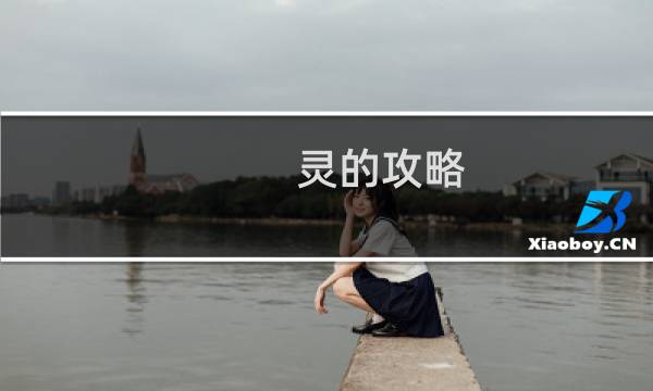 灵的攻略