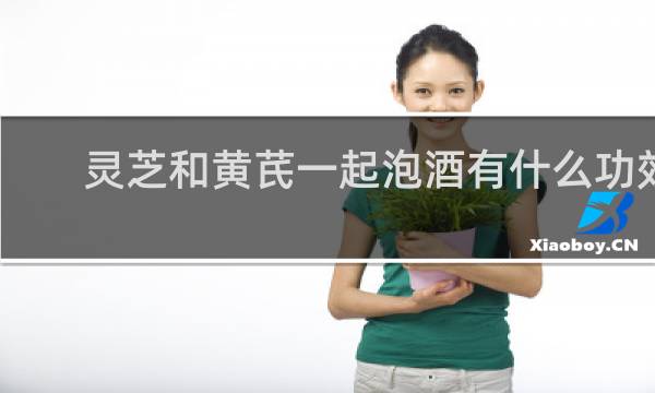 灵芝和黄芪一起泡酒有什么功效