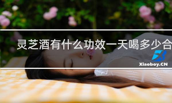 灵芝酒有什么功效一天喝多少合适