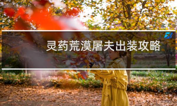 灵药荒漠屠夫出装攻略