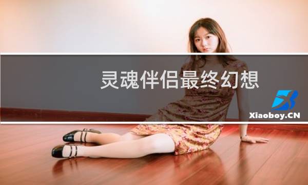 灵魂伴侣最终幻想