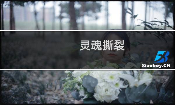 灵魂撕裂  攻略