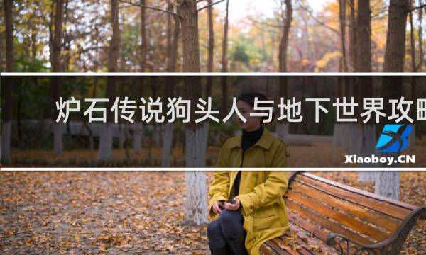 炉石传说狗头人与地下世界攻略