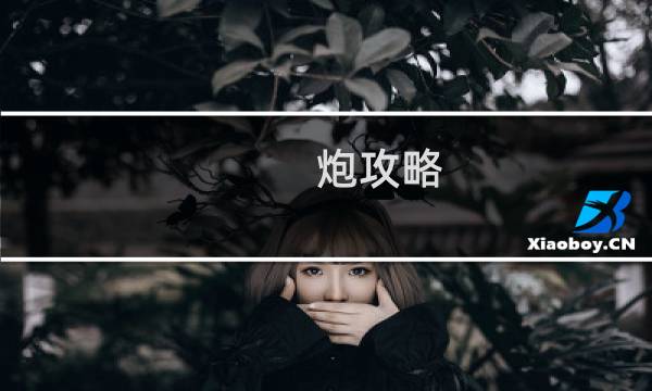 炮攻略