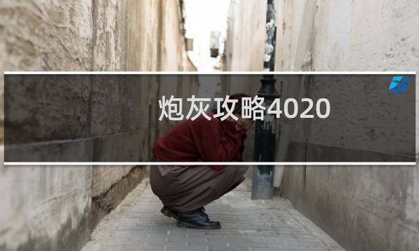 炮灰攻略4020