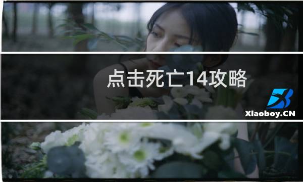 点击死亡14攻略