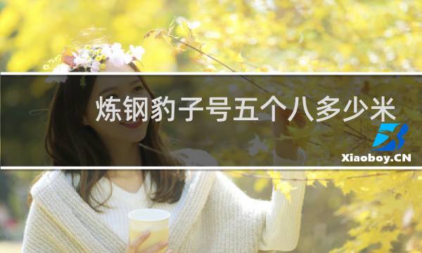 炼钢豹子号五个八多少米