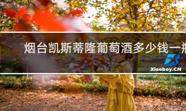 烟台凯斯蒂隆葡萄酒多少钱一瓶