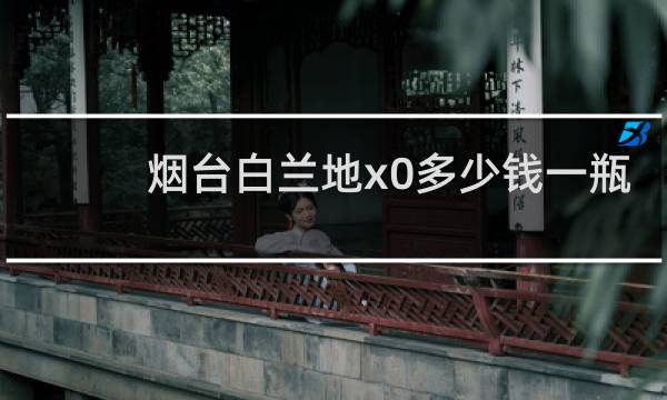 烟台白兰地x0多少钱一瓶