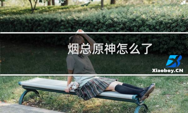 烟总原神怎么了