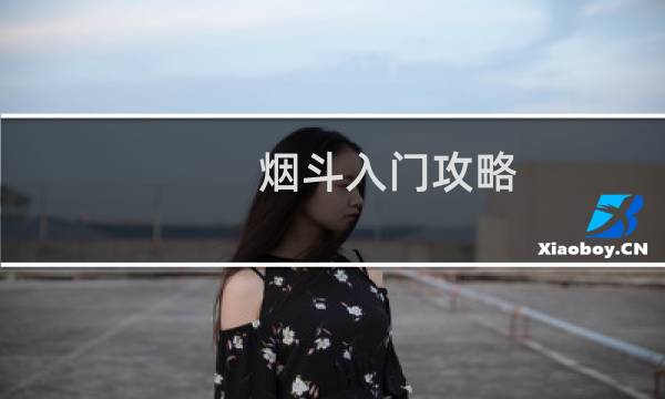 烟斗入门攻略