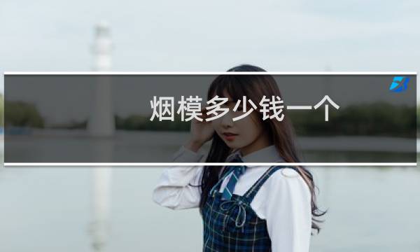 烟模多少钱一个