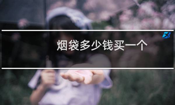 烟袋多少钱买一个