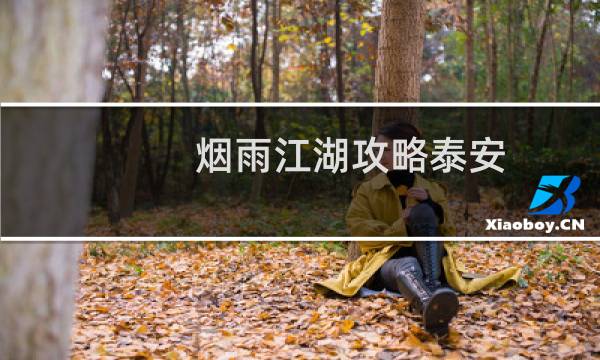 烟雨江湖攻略泰安