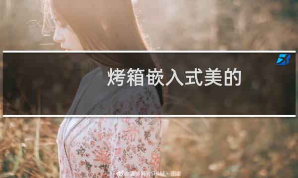 烤箱嵌入式美的
