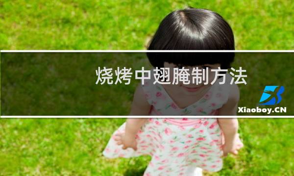烧烤中翅腌制方法