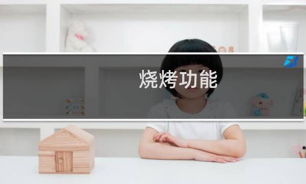 烧烤功能