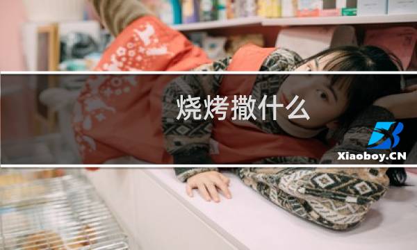 烧烤撒什么