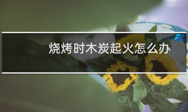 烧烤时木炭起火怎么办