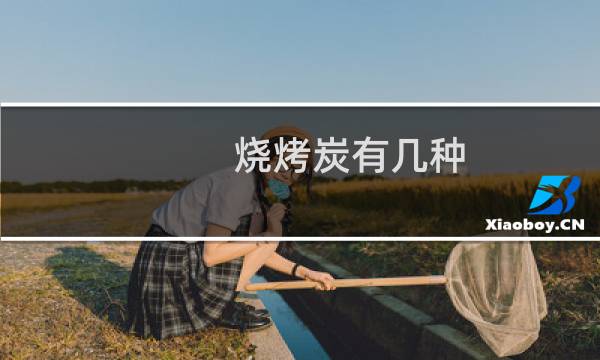 烧烤炭有几种