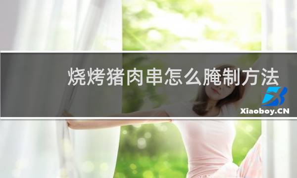 烧烤猪肉串怎么腌制方法