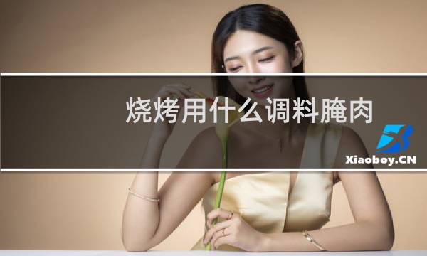 烧烤用什么调料腌肉