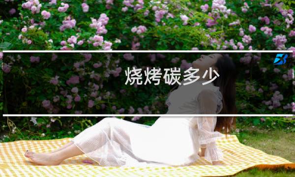 烧烤碳多少