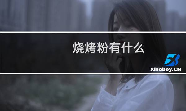 烧烤粉有什么