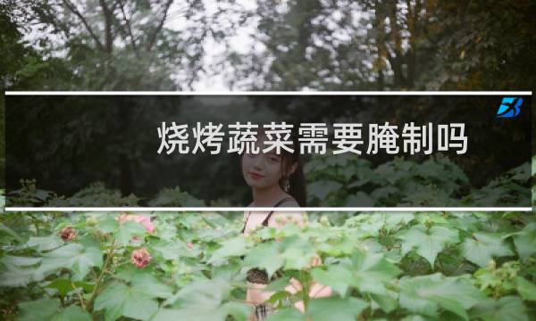 烧烤蔬菜需要腌制吗