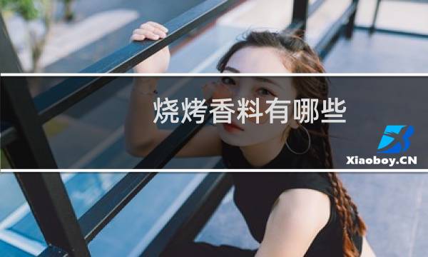 烧烤香料有哪些