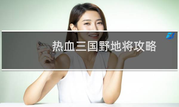 热血三国野地将攻略
