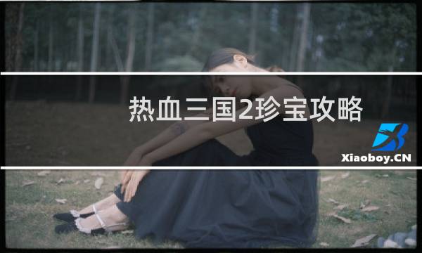 热血三国2珍宝攻略