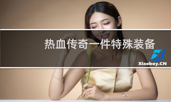 热血传奇一件特殊装备