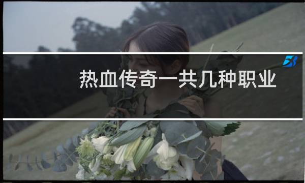 热血传奇一共几种职业