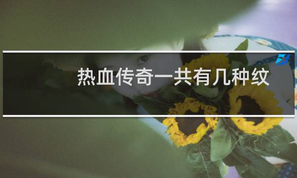 热血传奇一共有几种纹