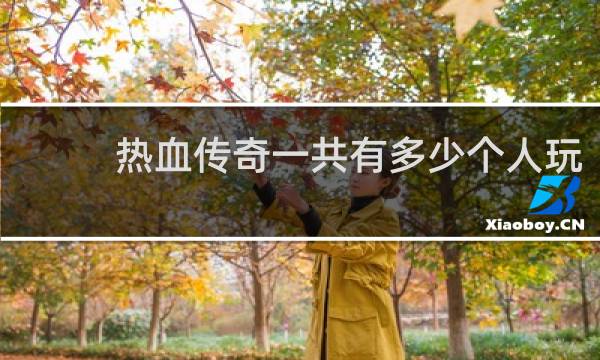 熱血傳奇一共有多少個人玩
