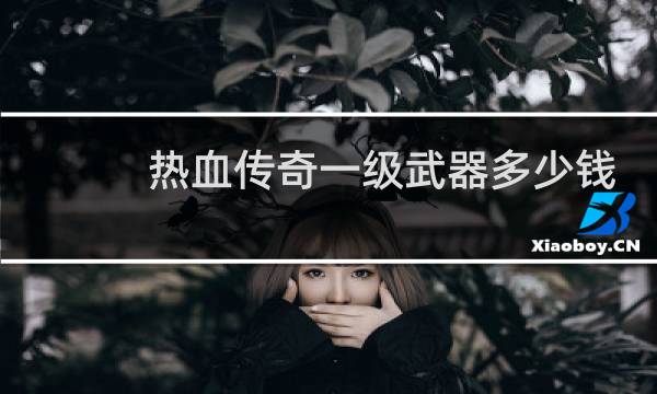 热血传奇一级武器多少钱