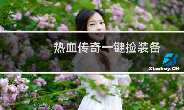 热血传奇一键捡装备