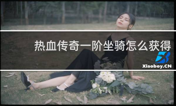 热血传奇一阶坐骑怎么获得