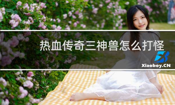 热血传奇三神兽怎么打怪