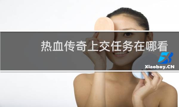热血传奇上交任务在哪看