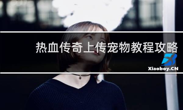 热血传奇上传宠物教程攻略
