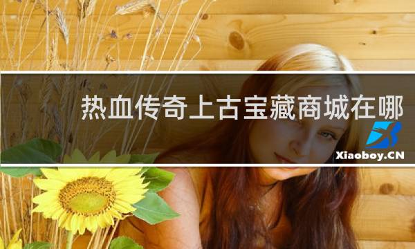热血传奇上古宝藏商城在哪