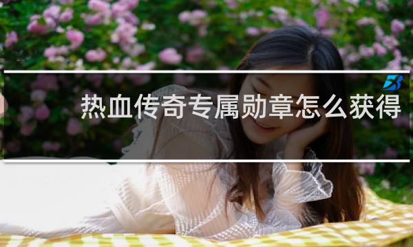 热血传奇专属勋章怎么获得