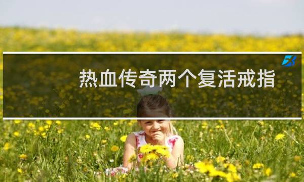 热血传奇两个复活戒指