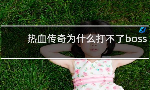 热血传奇为什么打不了boss