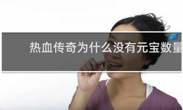 热血传奇为什么没有元宝数量